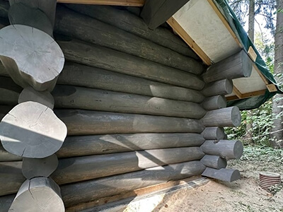 Рубка срубов из кедра